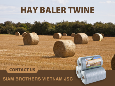 Hay Baler Twine: Enhancing efficiency in harvesting and preservation