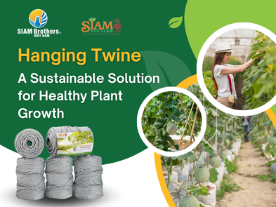 Hanging Twine - A Sustainable Soution for Healthy Plants Growth 