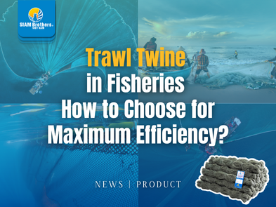 Trawl Twine  in Fisheries  How to Choose for Maximum Efficiency?