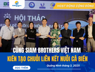 SIAM Brothers Việt Nam tham gia Chuỗi liên kết nuôi cá biển tại Quảng Ninh, thúc đẩy phát triển thủy sản bền vững