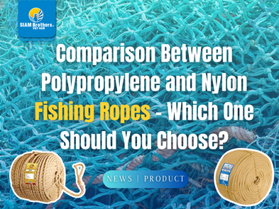 Comparison Between Polypropylene and Nylon Fishing Ropes – Which One ...