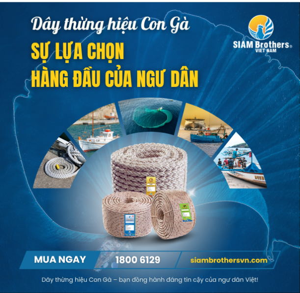 Câu hỏi thường gặp