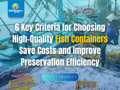 6 Key Criteria for Choosing High-Quality Fish Containers Save Costs and ...