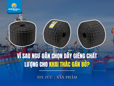 Vì sao ngư dân ưu tiên dây giềng chất lượng cao cho khai thác gần bờ?