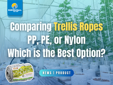 Comparing Trellis Ropes PP, PE, or Nylon Which is the Best Option?