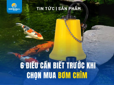 6 điều cần biết trước khi chọn mua bơm chìm