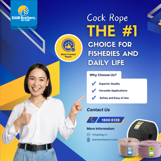 Câu hỏi thường gặp