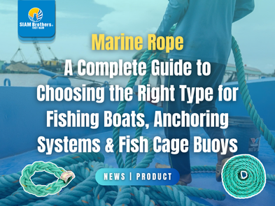 Marine Rope: A Complete Guide to Choosing the Right Type for Fishing Boats, Anchoring Systems & Fish Cage Buoys