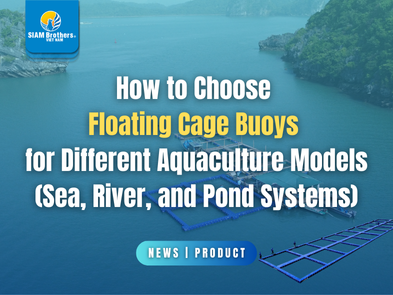 How to Choose Floating Cage Buoys for Different Aquaculture Models (Sea ...