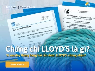 Chứng chỉ LLOYD’S là gì? Vì sao dây thừng hàng hải cần được LLOYD’S chứng nhận?