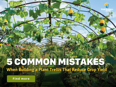 5 Common Mistakes When Building a Plant Trellis That Reduce Crop Yield