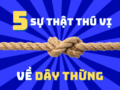 5 SỰ THẬT THÚ VỊ VỀ DÂY THỪNG