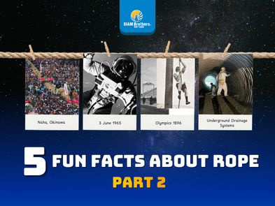 5 Fun Facts About Rope (Part 2)