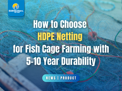 How to Choose HDPE Netting for Fish Cage Farming with 5–10 Year Durability