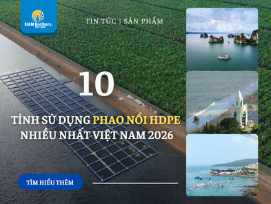 Top 10 Tỉnh Sử Dụng Phao Nổi HDPE Nhiều Nhất Việt Nam 2026