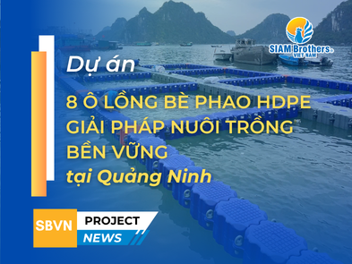 [Quảng Ninh] Hạ thủy dự án 8 ô lồng bè phao HDPE - Giải pháp nuôi trồng bền vững