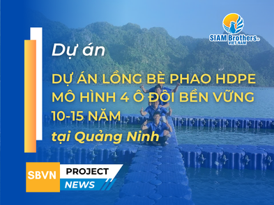 Dự án lồng bè phao HDPE Quảng Ninh: Mô hình 4 ô đôi bền vững 10-15 năm