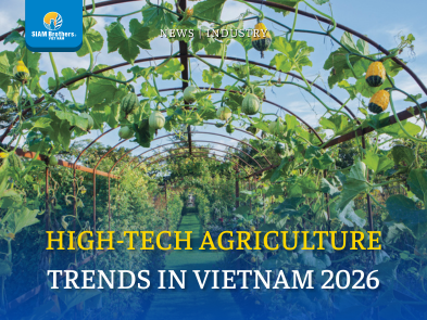 High-Tech Agriculture Trends in Vietnam 2026: Increasing Productivity – Reducing Manual Labor – Towards Sustainable Development