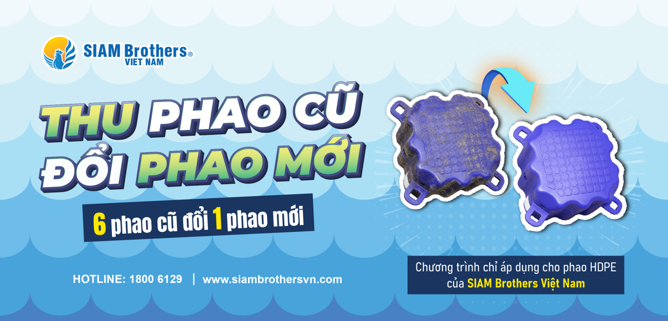 Phao cũ đổi phao mới