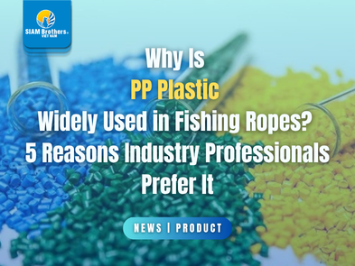 Why Is PP Plastic Widely Used in Fishing Ropes? 5 Reasons Industry Professionals Prefer It