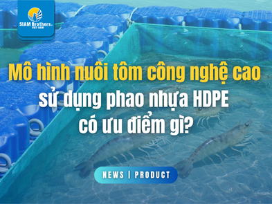 Mô hình nuôi tôm công nghệ cao sử dụng phao nhựa HDPE có ưu điểm gì?