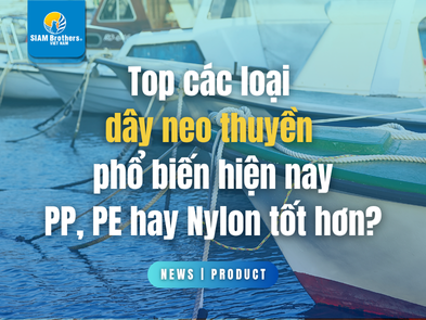 Top các loại dây neo thuyền phổ biến hiện nay: PP, PE hay Nylon tốt hơn?