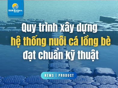 Quy trình xây dựng hệ thống nuôi cá lồng bè đạt chuẩn kỹ thuật