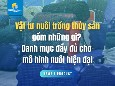 Vật tư nuôi trồng thủy sản gồm những gì? Danh mục đầy đủ cho mô hình nuôi hiện đại