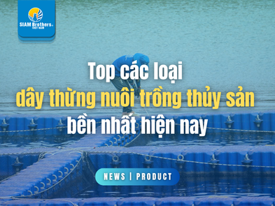 Top các loại dây thừng nuôi trồng thủy sản bền nhất hiện nay