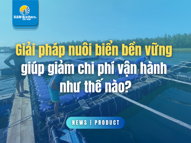 Giải pháp nuôi biển bền vững giúp giảm chi phí vận hành như thế nào?