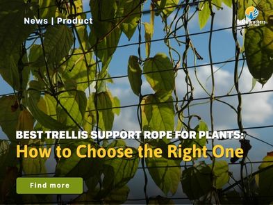 Best Trellis Support Rope for Plants: How to Choose the Right One