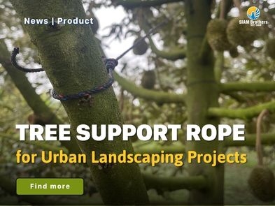 Tree Support Rope for Urban Landscaping Projects