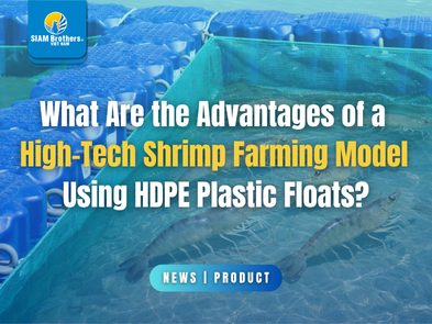 What Are the Advantages of a High-Tech Shrimp Farming Model Using HDPE Plastic Floats?