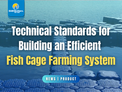 Technical Standards for Building an Efficient Fish Cage Farming System