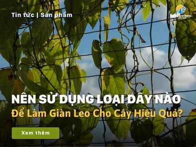 Nên Sử Dụng Loại Dây Nào Để Làm Giàn Leo Cho Cây Hiệu Quả?