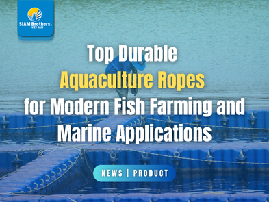 Top Durable Aquaculture Ropes for Modern Fish Farming and Marine Applications