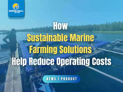 How Sustainable Marine Farming Solutions Help Reduce Operating Costs