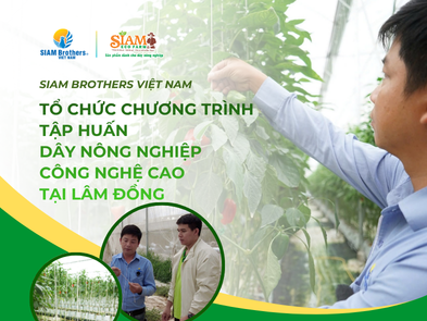 SIAM Brothers Việt Nam tổ chức chương trình tập huấn dây nông nghiệp công nghệ cao tại Lâm Đồng