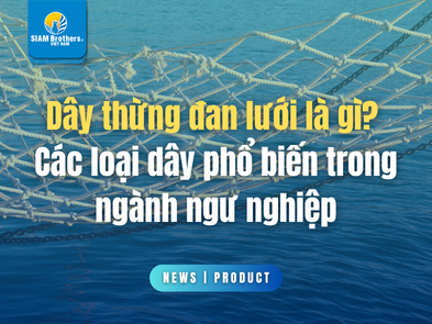 Dây thừng đan lưới là gì? Các loại dây phổ biến trong ngành ngư nghiệp