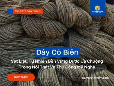 Dây Cỏ Biển – Vật Liệu Tự Nhiên Bền Vững Được Ưa Chuộng Trong Nội Thất Và Thủ Công Mỹ Nghệ