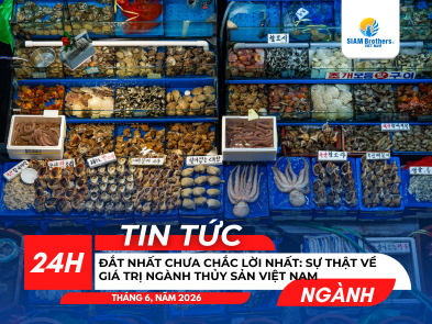 Giá Trị Kinh Tế Thủy Sản: 7 Yếu Tố Quyết Định Thành Công Từ Tôm Hùm Đến Cá Tra