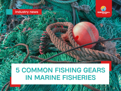 5 Common Fishing Gears in Marine Fisheries: Structure, Characteristics, and Applications