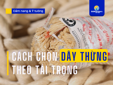 Cách Chọn Dây Thừng Theo Tải Trọng Để Đảm Bảo An Toàn Và Hiệu Quả Sử Dụng