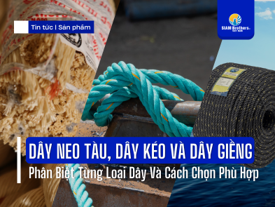 Dây Neo Tàu, Dây Kéo Và Dây Giềng: Phân Biệt Từng Loại Dây Và Cách Chọn Phù Hợp