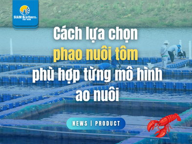 Cách lựa chọn phao nuôi tôm phù hợp từng mô hình ao nuôi