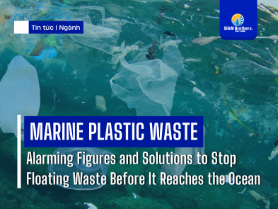 Marine Plastic Waste: Alarming Figures and Solutions to Stop Floating Waste Before It Reaches the Ocean