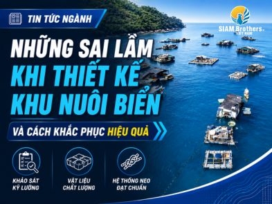 Những Sai Lầm Khi Thiết Kế Khu Nuôi Biển Và Cách Khắc Phục Hiệu Quả