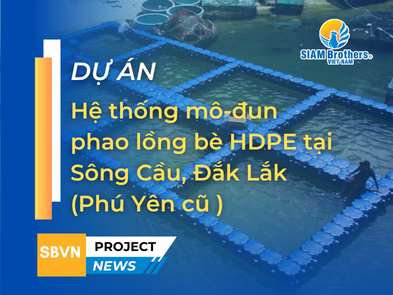 [Phú Yên] Hệ thống mô-đun phao lồng bè HDPE của SIAM Brothers Việt Nam tại Sông Cầu