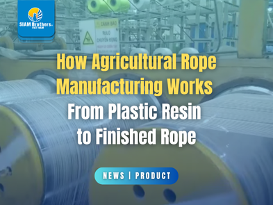 How Agricultural Rope Manufacturing Works: From Plastic Resin to Finished Rope