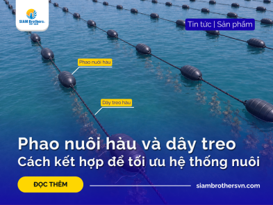 Oyster Farming Floats and Ropes: How to Optimize the Grow-Out System